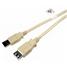 Cables Unlimited 10-foot USB 2.0 Extension Cable
